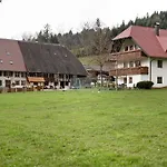 Schlegelhansenhof Apartment Buchenbach (Breisgau-Hochschwarzwald)