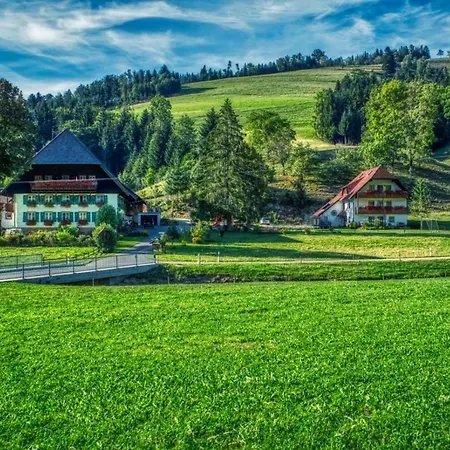 Apartment Schlegelhansenhof Buchenbach (Breisgau-Hochschwarzwald)