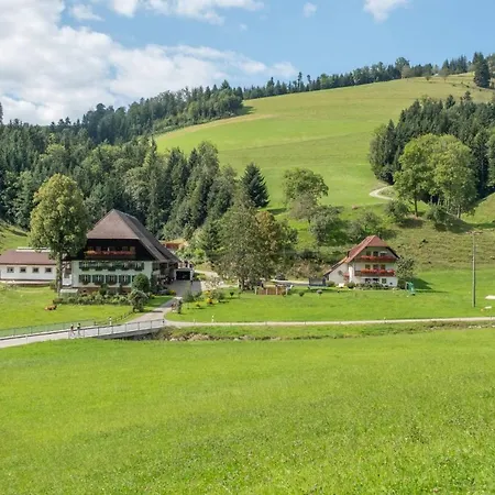Schlegelhansenhof Apartment Buchenbach (Breisgau-Hochschwarzwald)