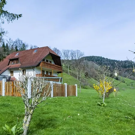 Schlegelhansenhof Appartement *