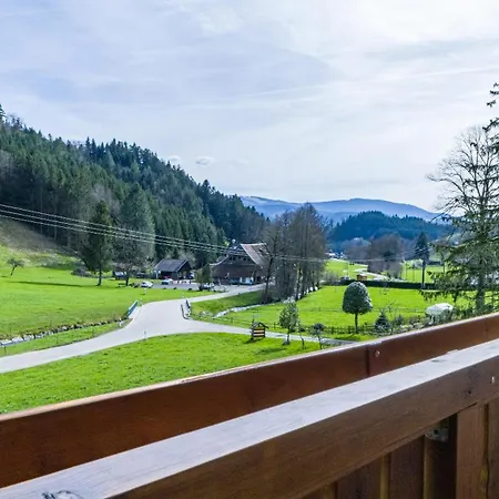 Schlegelhansenhof Apartment *