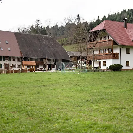Schlegelhansenhof 아파트 Buchenbach (Breisgau-Hochschwarzwald)