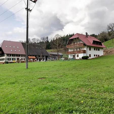Schlegelhansenhof 아파트 *