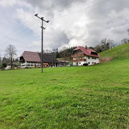 Schlegelhansenhof Buchenbach (Breisgau-Hochschwarzwald)